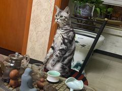 -米卢宠物公园(广华居店)
