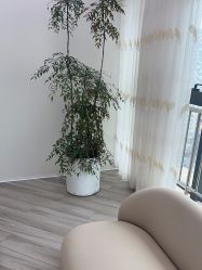 点击看大图 -HEYAN荷妍专业脱毛连锁机构
