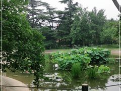 -国家植物园南园