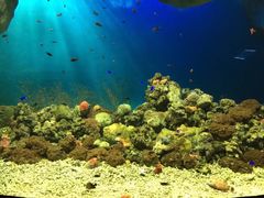 -福州罗源湾海洋世界旅游区