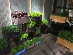 -番食园鲜食火锅(高新店)