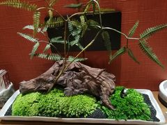 -水之惠鲜鱼料理(王府大街店)