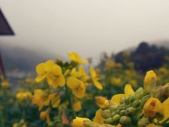 android_upload_pic-广州市石门国家森林公园
