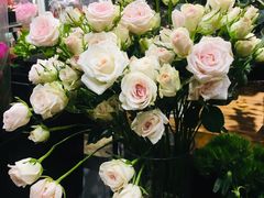 -豆豆花艺(新光天地店)