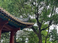 -顺峰山公园