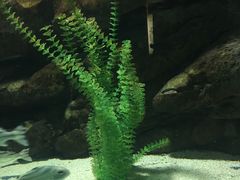 -苏州海洋馆