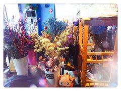-花与咖啡馆(金星楼店)