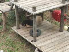 -大连森林动物园