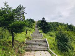 -嘉陵江源头景区