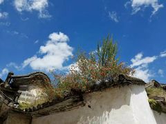 -杨顺宝喜洲粑粑