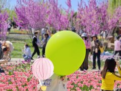 -石家庄市植物园