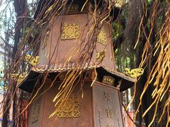 -光明港公园
