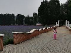 -紫海香堤香草艺术庄园