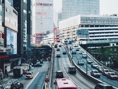 -Big Bus Tours 敞篷观光巴士