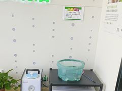 -自然之声助听器·呼吸机(康桥旗舰店)