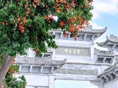 -宝墨园景区