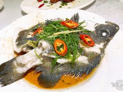 清蒸鱼-后田海鲜餐厅(南澳香湖湾店)