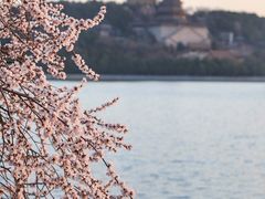 -颐和园