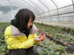 -普迪生态园