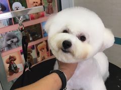 -芭比堂动物医院·24小时·眼科中心(深圳中心)