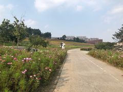 -长春世界雕塑园冰雪艺术天地