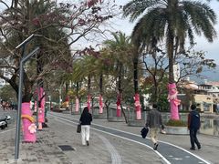 -大梅沙海滨公园