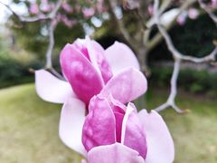 -南通鹏欣花园国宾酒店