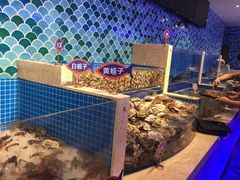 大连应季海鲜-乔哥铭洋海鲜自助(皇城恒隆广场店)