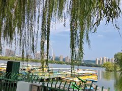 -济南国际园博园