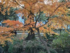 -上海醉白池公园