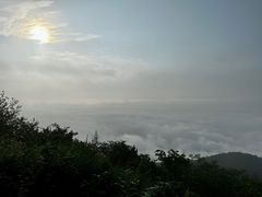 -齐岳山