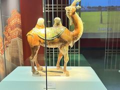 -太原市博物馆