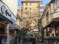 -金龙咖喱