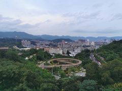 -福道
