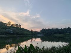 -南国桃园旅游度假区