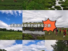 -御道口草原森林风景区