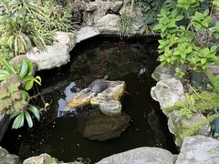 -谷咖啡·鲜花绿植花园餐厅