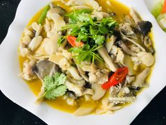-云中小雅