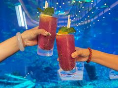 -亚特兰蒂斯•OSSIANO奥西亚诺海底餐厅