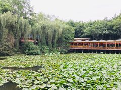 -巴山一绝烤全羊(三圣乡刘家花园店)