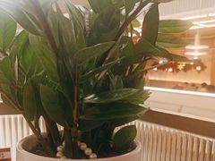 -荷花亭·湖北融合菜(中商广场店)