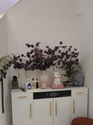 -WENDY·温迪皮肤管理