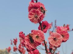 -状元虎.摇滚炒鸡.家常菜(义勇街店)