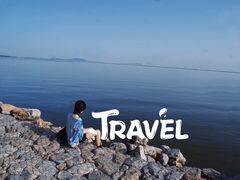 -合肥滨湖国家森林公园