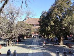 -北京国子监胡同