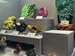 -湖南省地质博物馆