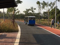 -上海长兴岛郊野公园