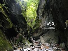 -黑河国家森林公园