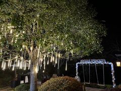 -天目湖涵田半山温泉