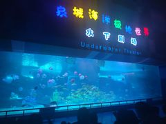 -泉城欧乐堡海洋极地世界